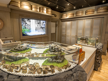 三越ショップ: 革新の趣･ピック・ア・パール・コーナー